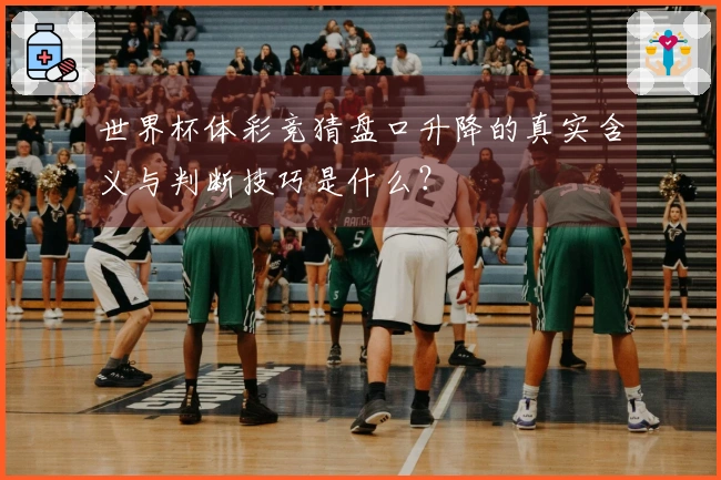 世界杯体彩竞猜盘口升降的真实含义与判断技巧是什么？