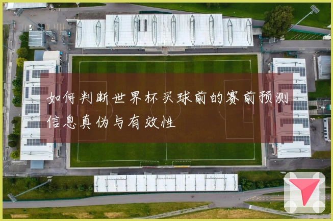 如何判断世界杯买球前的赛前预测信息真伪与有效性