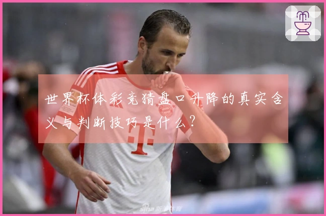 世界杯体彩竞猜盘口升降的真实含义与判断技巧是什么？