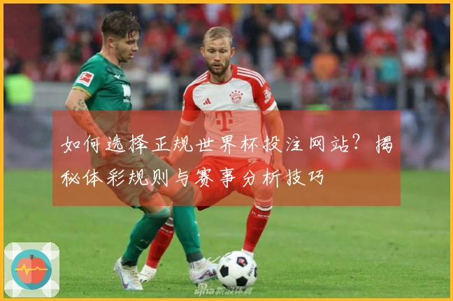 如何选择正规世界杯投注网站？揭秘体彩规则与赛事分析技巧