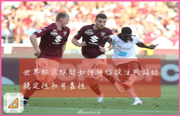 世界杯买球时如何评估投注网站的稳定性和可靠性