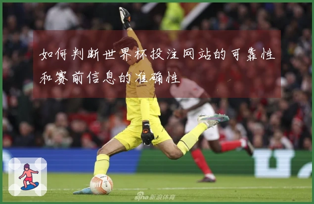 如何判断世界杯投注网站的可靠性和赛前信息的准确性