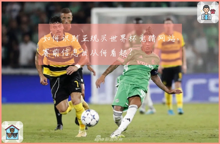 如何识别正规买世界杯竞猜网站，赛前信息该从何看起？
