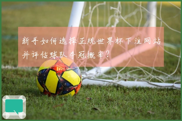 新手如何选择正规世界杯下注网站并评估球队夺冠概率？