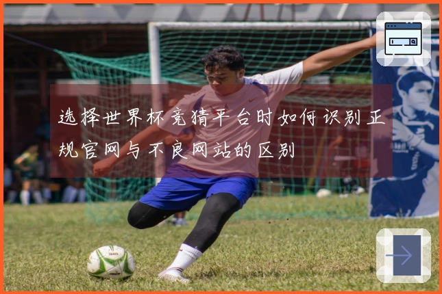 选择世界杯竞猜平台时如何识别正规官网与不良网站的区别