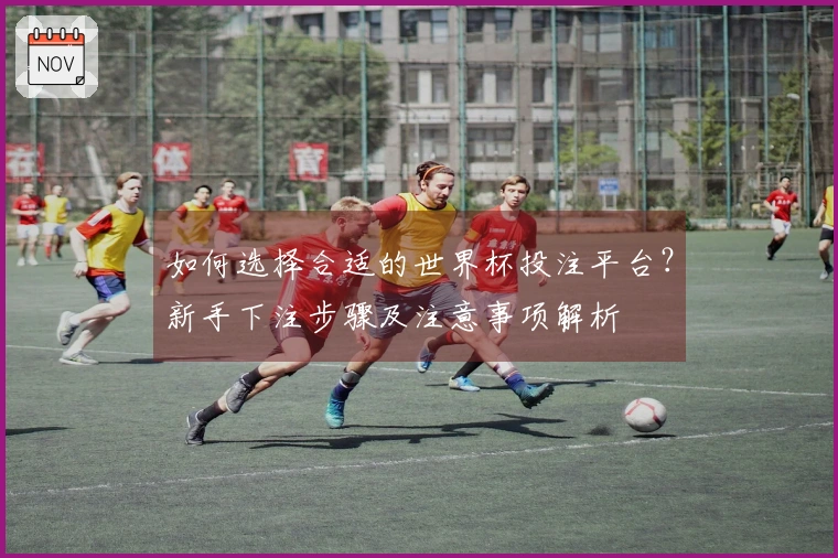 如何选择合适的世界杯投注平台？新手下注步骤及注意事项解析