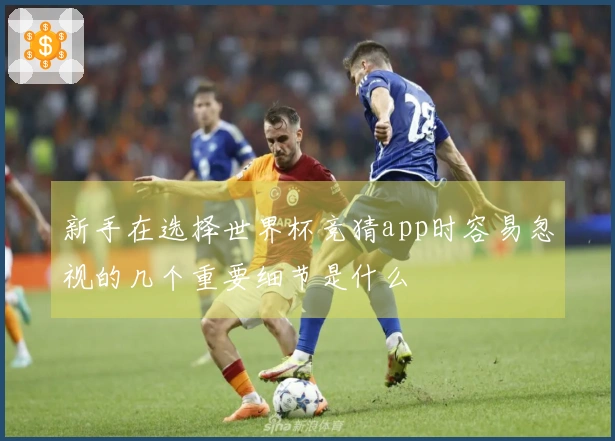 新手在选择世界杯竞猜app时容易忽视的几个重要细节是什么