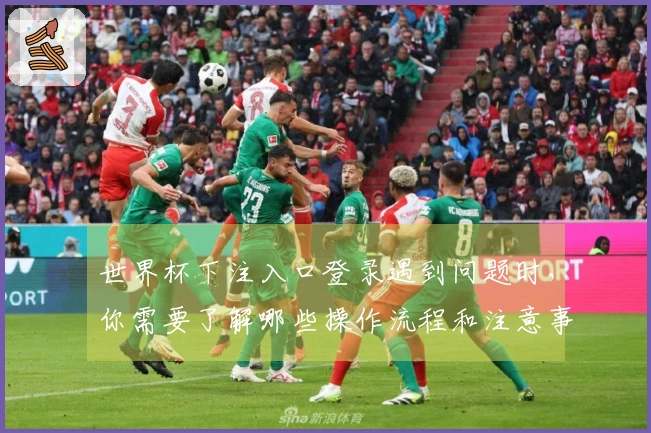 世界杯下注入口登录遇到问题时，你需要了解哪些操作流程和注意事项
