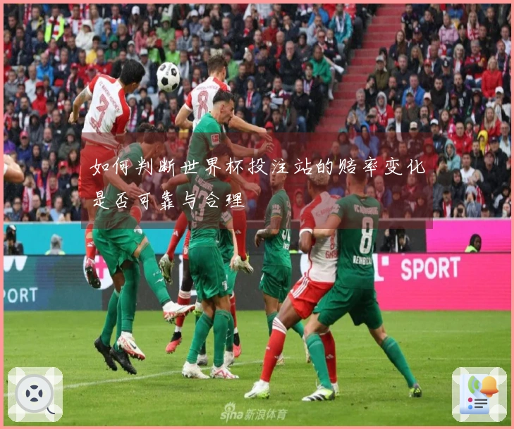 如何判断世界杯投注站的赔率变化是否可靠与合理
