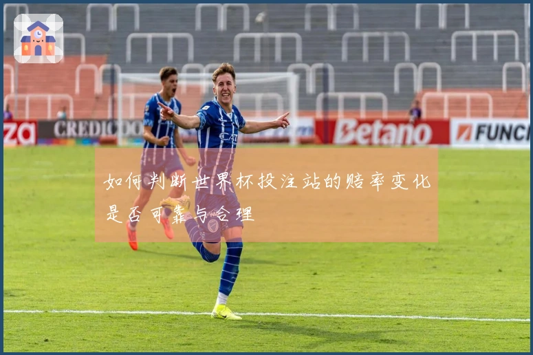 如何判断世界杯投注站的赔率变化是否可靠与合理