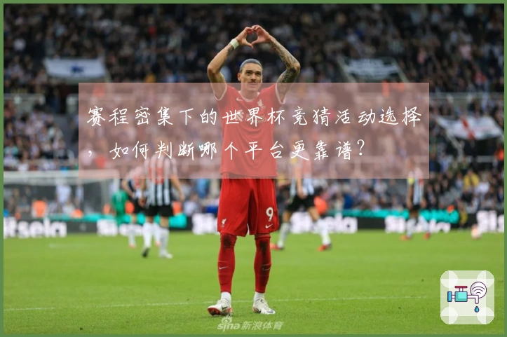 赛程密集下的世界杯竞猜活动选择，如何判断哪个平台更靠谱？