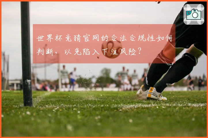 世界杯竞猜官网的合法合规性如何判断，以免陷入下注风险？