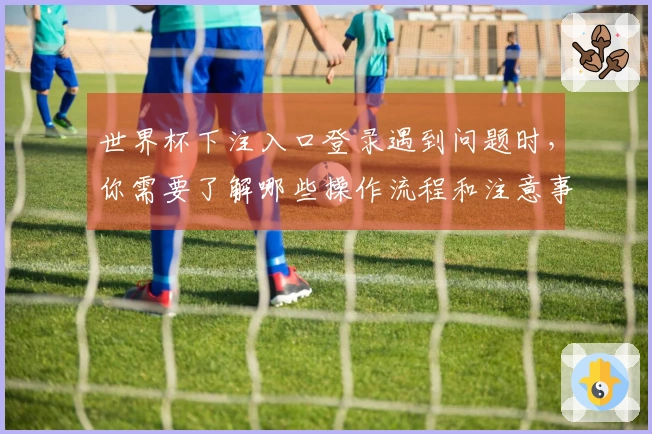 世界杯下注入口登录遇到问题时，你需要了解哪些操作流程和注意事项