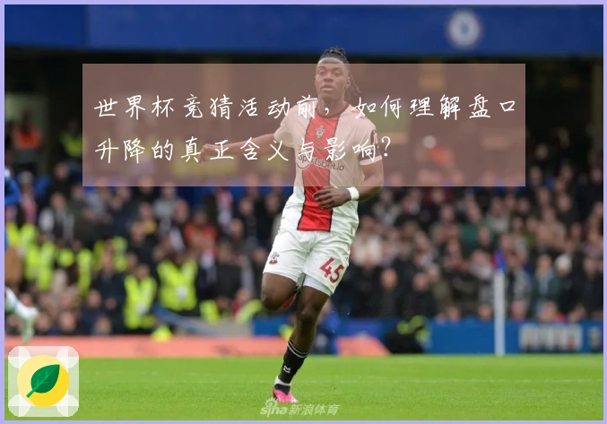 世界杯竞猜活动前，如何理解盘口升降的真正含义与影响？